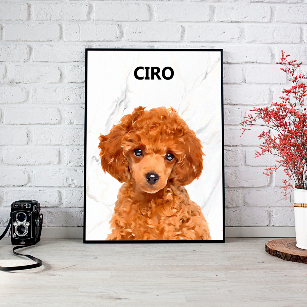 cartoon pet